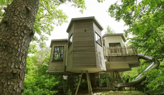 boomhut met glijbaan