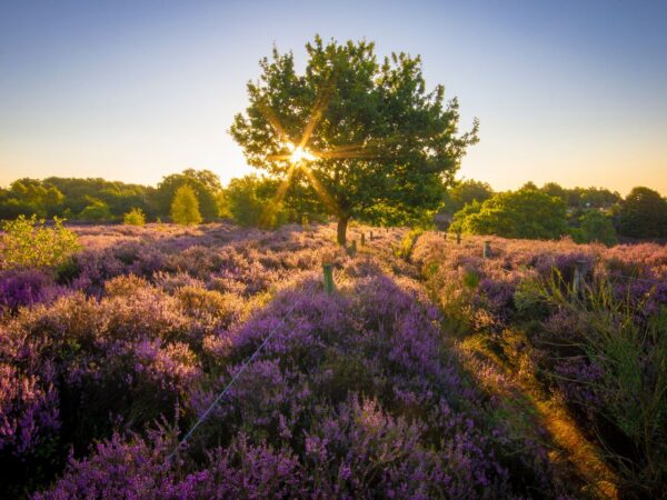 Landal Drentse Lagune